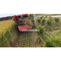 水稻收割自动打捆一体机 新款新技术 水稻收割机厂家定制