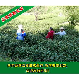 茶叶批发厂家,贤峰茶叶,呼和浩特茶叶