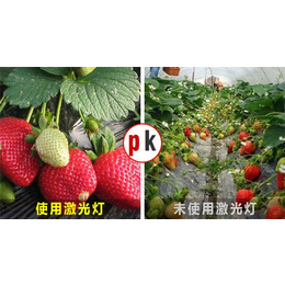 【激光植物补光灯】(图)|大棚补光灯|珠海补光灯