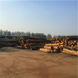 辐射松木方专卖|济南辐射松木方|中林木材加工厂