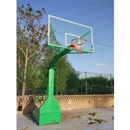南充篮球架|博泰体育制造|自动升降篮球架