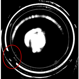 CCD检测设备-在线视觉检测设备-瓶胚在线视觉检测设备