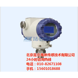 北京*温湿度传感器价格|*温湿度传感器|*海岸