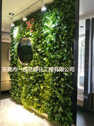 装饰植物墙价格-装饰植物墙-一枝花绿化