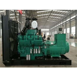 柴油发电机组厂家|台州发电机组|潍坊德曼动力科技公司