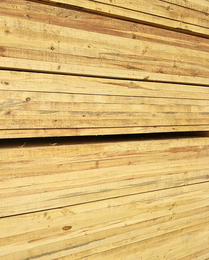 樟子松木材加工-青海木材加工-日照国鲁木材加工