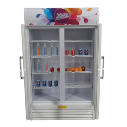 渭南饮料柜-盛世凯迪制冷设备生产-饮料柜定做