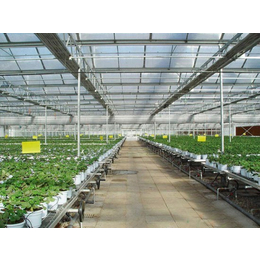 温室用玻璃报价-青州建英农业-东营温室用玻璃