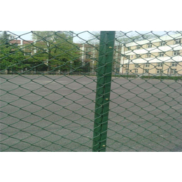 学校球场围栏网-宏鸿丝网-学校球场围栏网现货