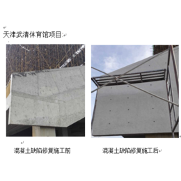 混凝土保护剂厂|混凝土保护剂|北京诺成清水