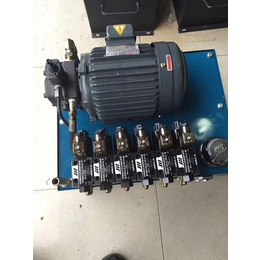 DSS电动泵批发-贵港DSS电动泵-星科液压(在线咨询)