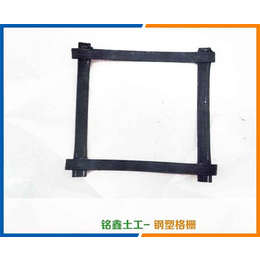 台湾钢塑复合土工格栅-土工材料-钢塑复合土工格栅公司