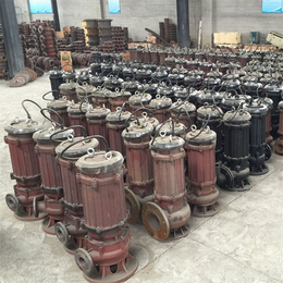 青岛100WQ60-9-4潜污泵联轴器-搅拌式潜污泵
