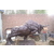 定制铜牛雕塑|天津铜牛雕塑|铜牛厂家(图)缩略图1