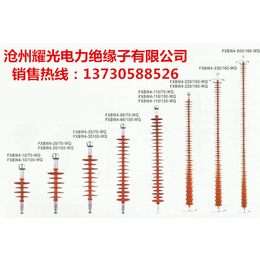 FXBW4-1070复合绝缘子