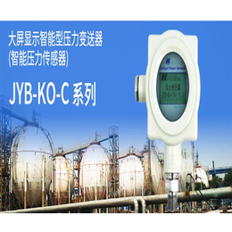 广州扩散硅压力变送器订购、北京*海岸