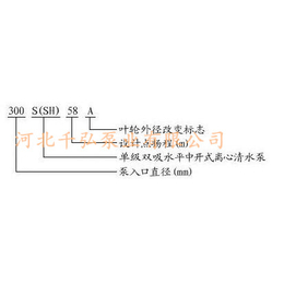 中开双吸泵-河北千弘泵业-双吸中开泵厂