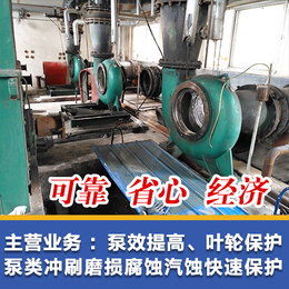 贵州泵腐蚀汽蚀维修-广东泵腐蚀汽蚀维修-索雷工业