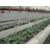 丹东PVC草莓种植槽-3层草莓栽培槽-厂家今日价格缩略图1