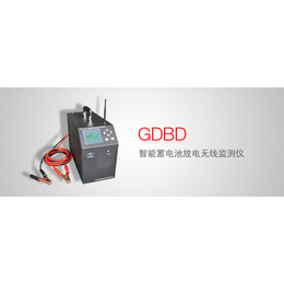 GDBD 智能蓄电池放电无线监测仪*