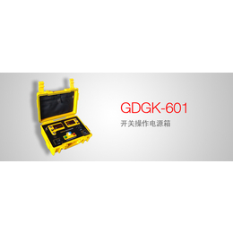 GDGK-601 开关操作电源箱说明书