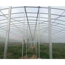 合肥大棚厂家|安徽农友温室大棚公司|单拱大棚厂家
