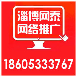 淄博电子商务网站建设_桓台网站建设_淄博网泰科技(查看)