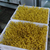 全自动豆芽机控制器价格 商用豆芽机批发厂家 生黄豆芽机缩略图2