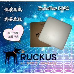 优科Ruckus室内无线AP ZoneFlex R300