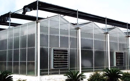 阳光板温室大棚造价|齐鑫温室园艺|阳光板温室大棚