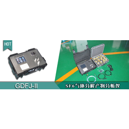 GDFJ-II SF6气体分解产物分析仪定制服务