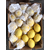 南非进口柠檬尤力克Unifrutti新鲜黄柠檬现货批发*缩略图4