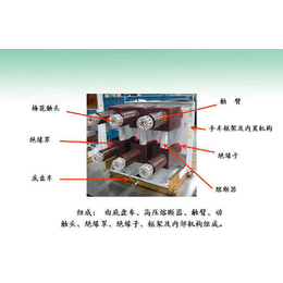 山东固定式高压开关柜-新泰市圣辰电气-固定式高压开关柜厂