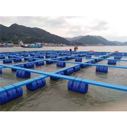 塑胶渔排踏板设备-塑胶渔排-青岛威尔塑机