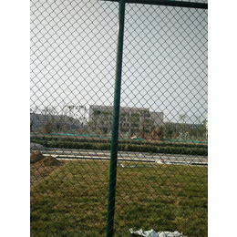 球场围网厂家、体育球场围网供应山东枣庄球场围网