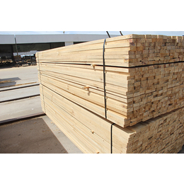 南洋杉建筑方木报价-名和沪中木业建筑方木-南洋杉建筑方木