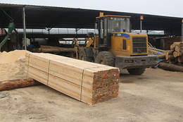 济源建筑口料-创亿木材加工厂-建筑口料出售