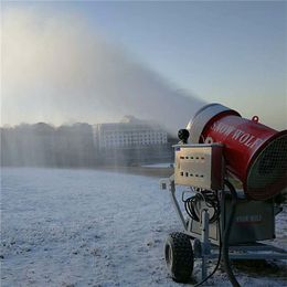 供应滑雪场人工造雪机价格 临界造雪设备生产厂家