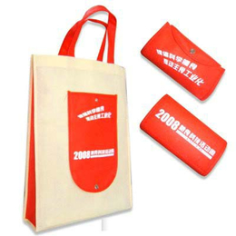 无纺布购物袋生产、南京市购物袋、南京莱普诺(在线咨询)