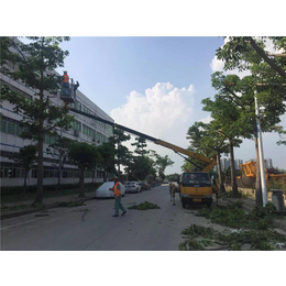 湛江高空车租赁公司-湛江高空车租赁-鑫越路桥湛江高空车租赁