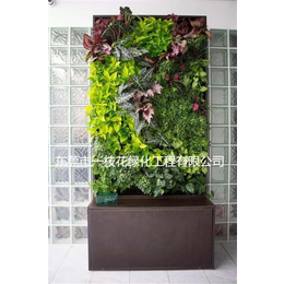 小型植物墙工程-一枝花绿化(在线咨询)-小型植物墙