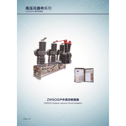 10KV户外高压真空断路器ZW32-12不锈钢 