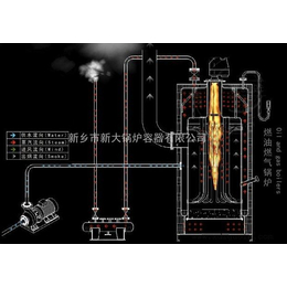 洗涤厂蒸汽发生器,新大锅炉,河南蒸汽发生器