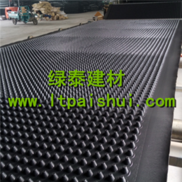 滁州地库顶板排水板车库种植滤水板-价格优惠