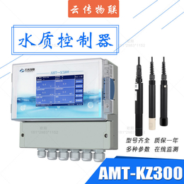 AMT-KZ300水中溶解氧传感探头 多参数水质检测控制仪