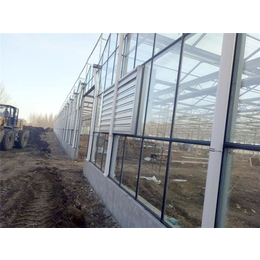 玻璃温室建造-玻璃温室-青州瀚洋农业(查看)