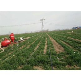 智能节水灌溉设备|欣农科技|智能节水灌溉设备作用
