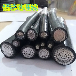 南岸规格_JKLGYJ规格1×95_重庆众鑫电缆有限公司