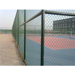 球场护栏网规格,保定球场护栏网,河北宝潭护栏(在线咨询)