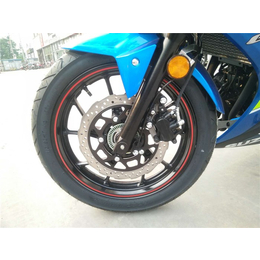 豪爵铃木,大地恒通,豪爵铃木GSX250R